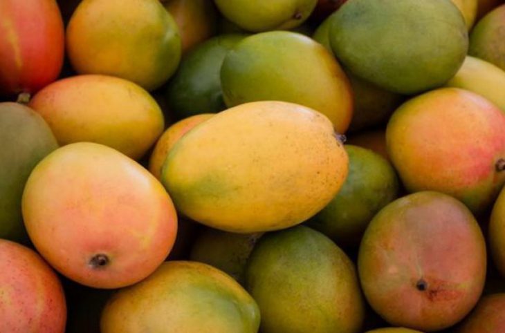 Vente de la mangue : des jeunes filles se frottent les mains à Yorosso.