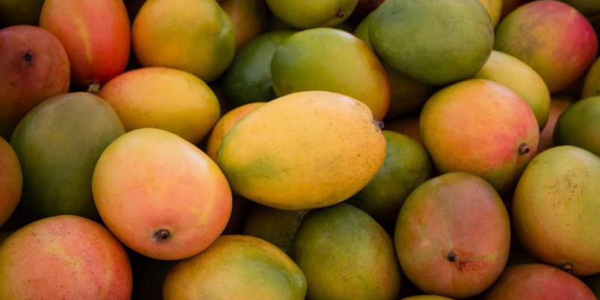Vente de la mangue : des jeunes filles se frottent les mains à Yorosso.