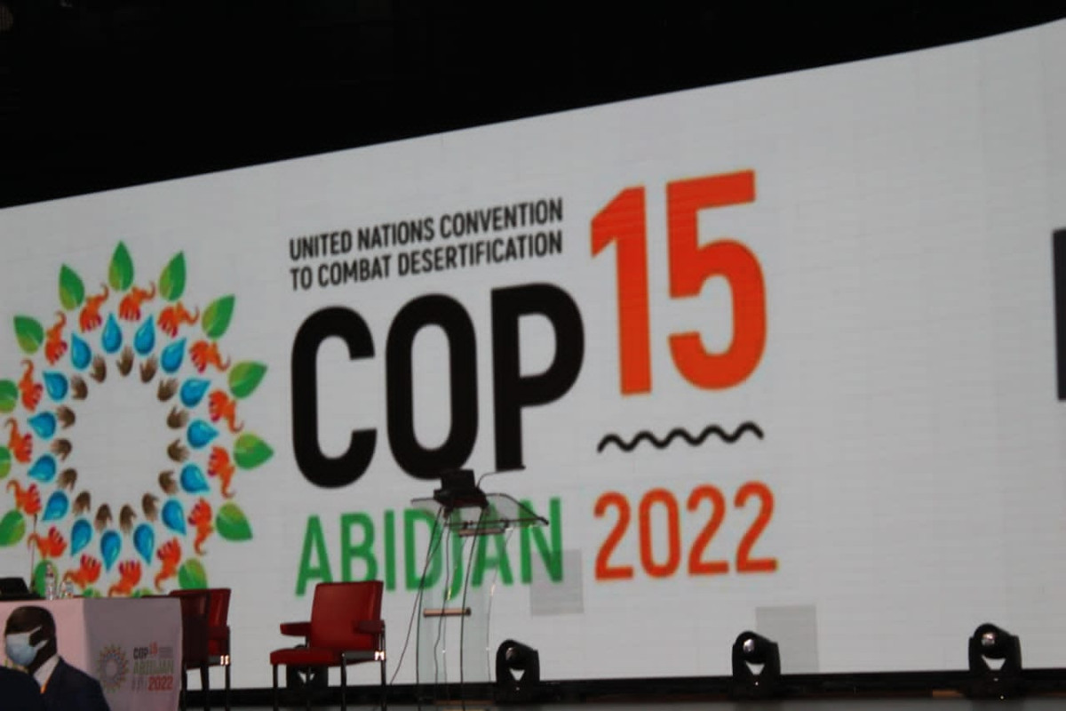 « Parlons de l’Environnement »: COP 15, il faut prioriser la mise en œuvre des anciennes résolutions, estiment des experts