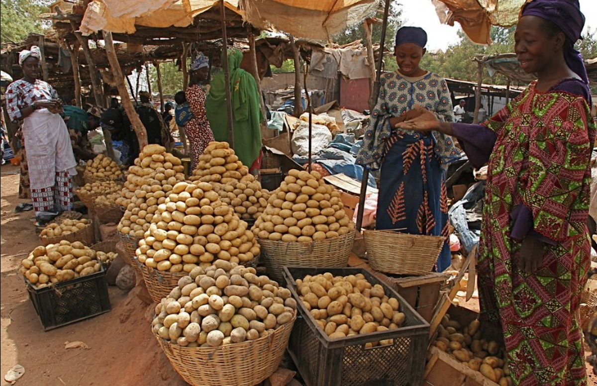 Le kilo de la pomme de terre vendu à 650 FCFA à Koulikoro
