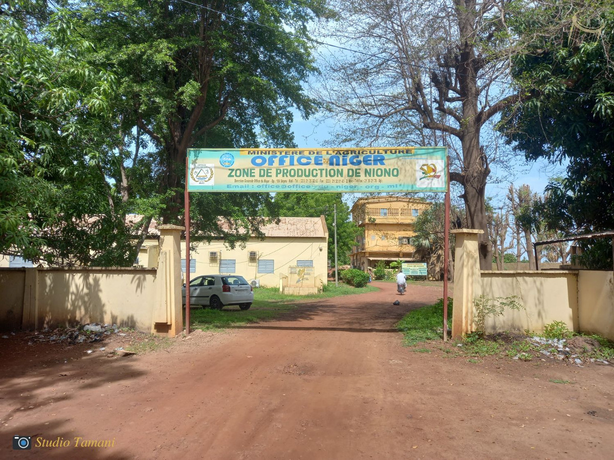 Campagne agricole : plus de 14 mille hectares seront exploités dans la zone office du Niger de Niono