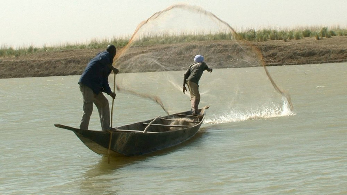 Niafunké : libération du chef de service de la pêche