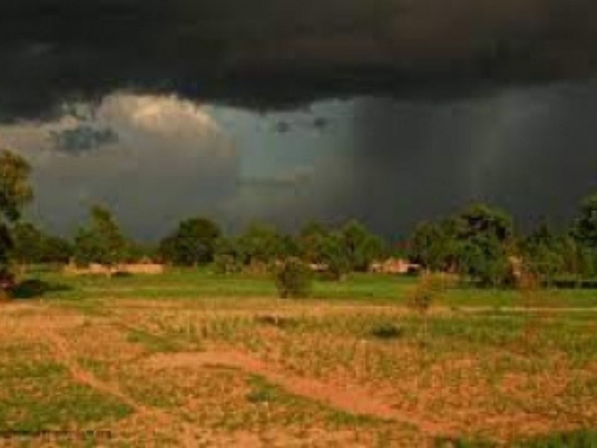 Yorosso : « la quantité de pluies est satisfaisante, mais le manque d’engrais suscite des inquiétudes »