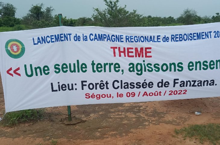 Forêt classée de Fanzana à Pelengana : 2500 hectares, bientôt, reboisés