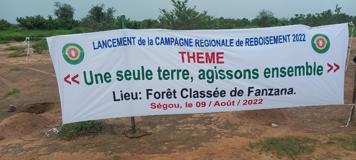 Forêt classée de Fanzana à Pelengana : 2500 hectares, bientôt, reboisés
