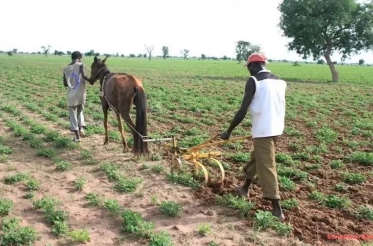 Centre du Mali : les agriculteurs inquiets de la montée des eaux