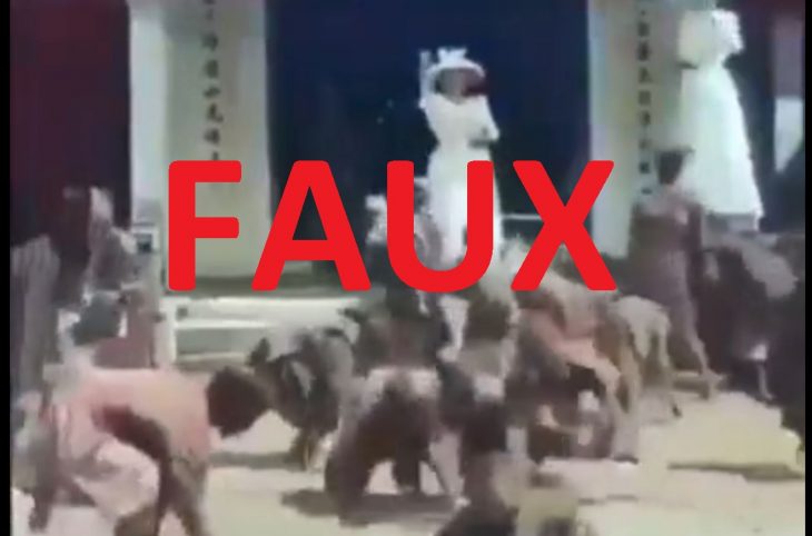 <strong>Non, cette vidéo n’est pas celle de la reine Elizabeth II</strong>