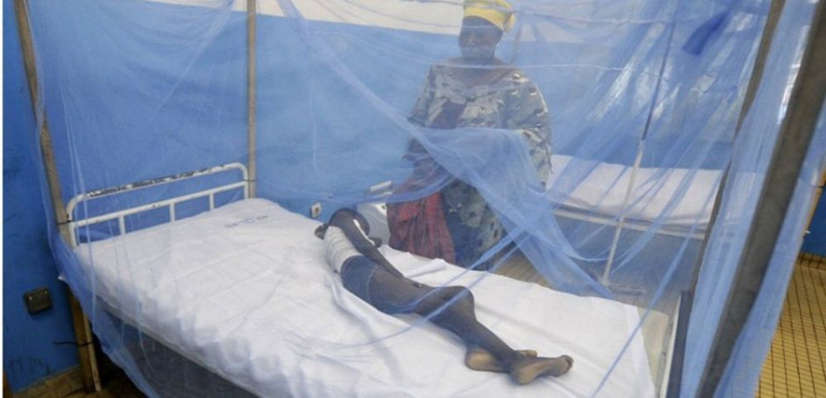 GAO : sensibilisation sur le paludisme