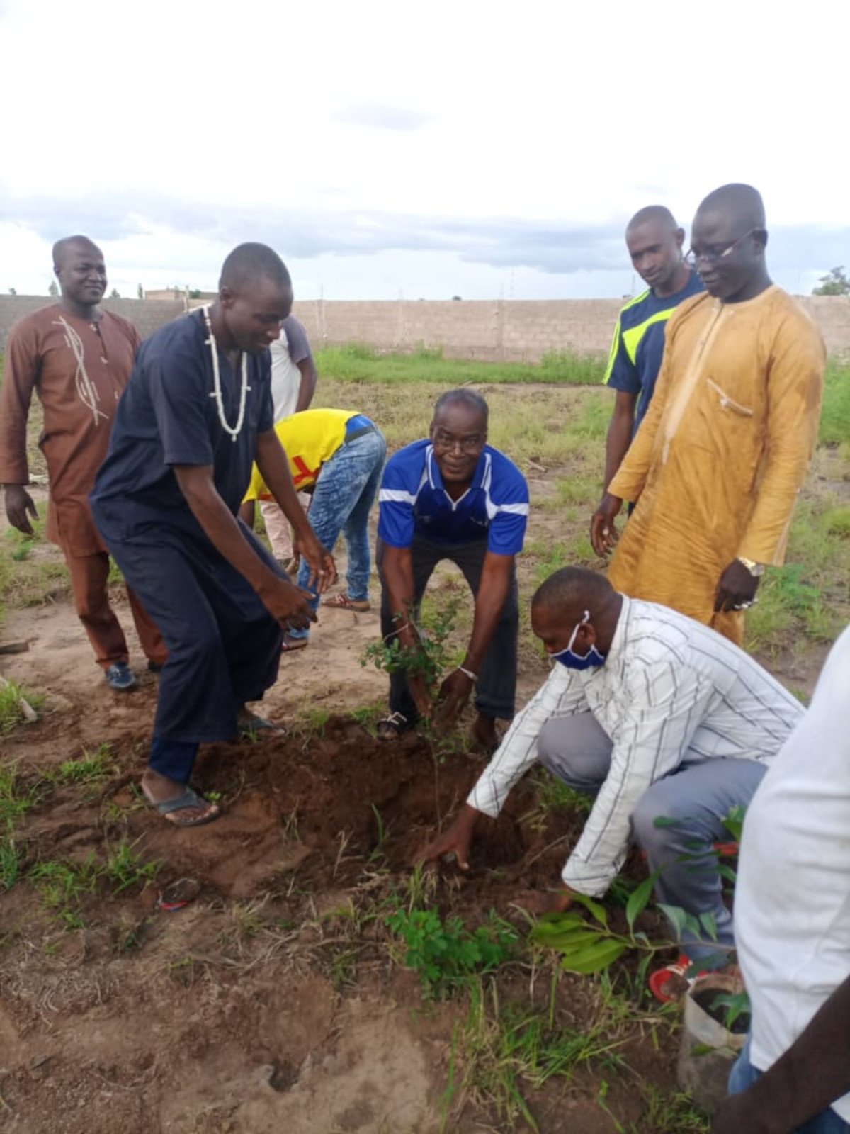 Kayes : une journée de reboisement à Soutoucoulé