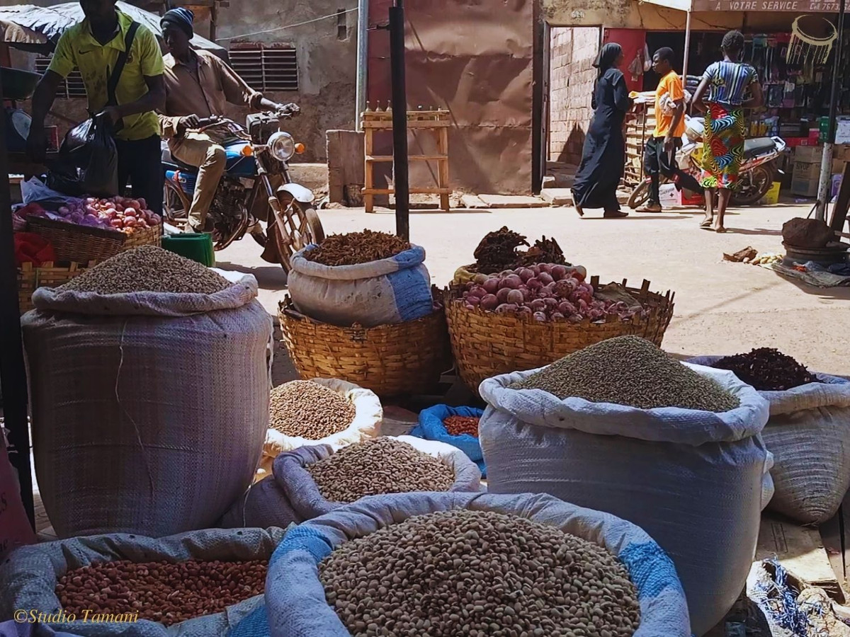 Koulikoro : baisse des prix des céréales