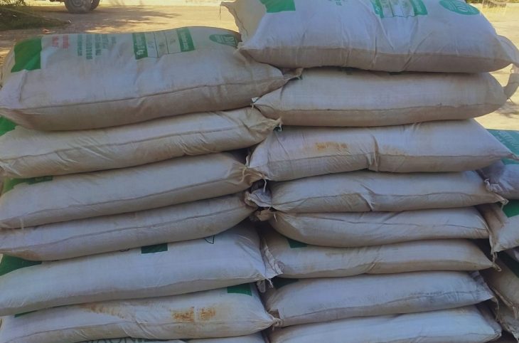 <strong>Dons d'intrants agricoles à des jeunes entrepreneurs de Kayes</strong>