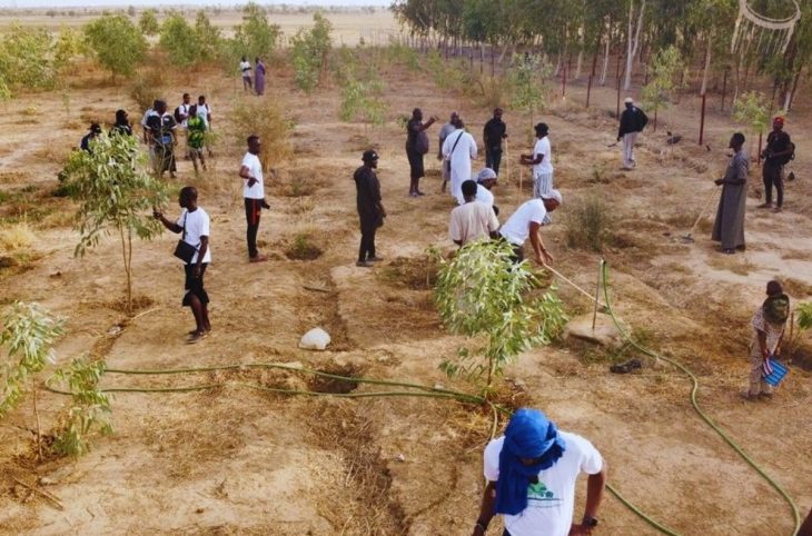 <strong>Lancement d'un projet de lutte contre la désertification et le changement climatique à Mahina</strong>