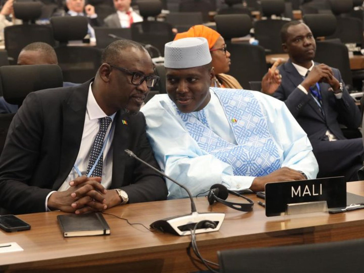 Mali : les activités des ONGs sous financement français sont désormais interdites