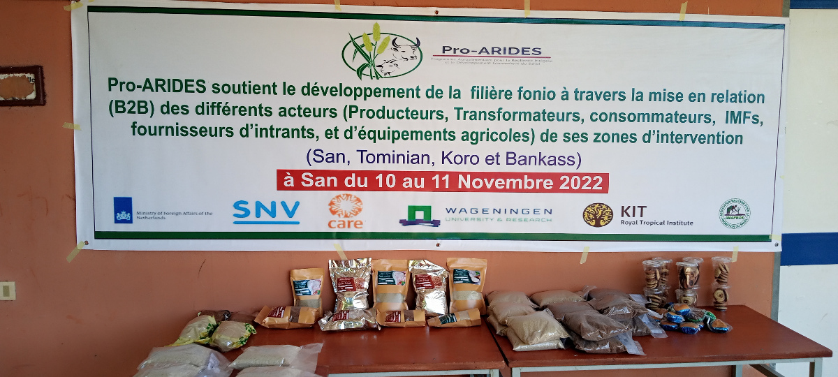 <strong>San : réflexion sur la production de fonio</strong>