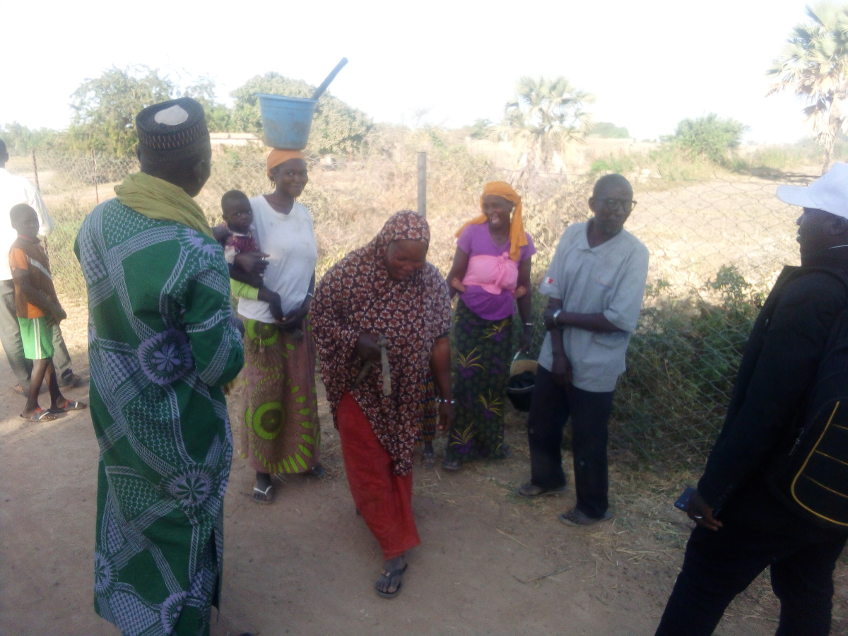 <strong>Clôture pour sécuriser les plants des femmes de Nzirakoro et Siami à Macina</strong>