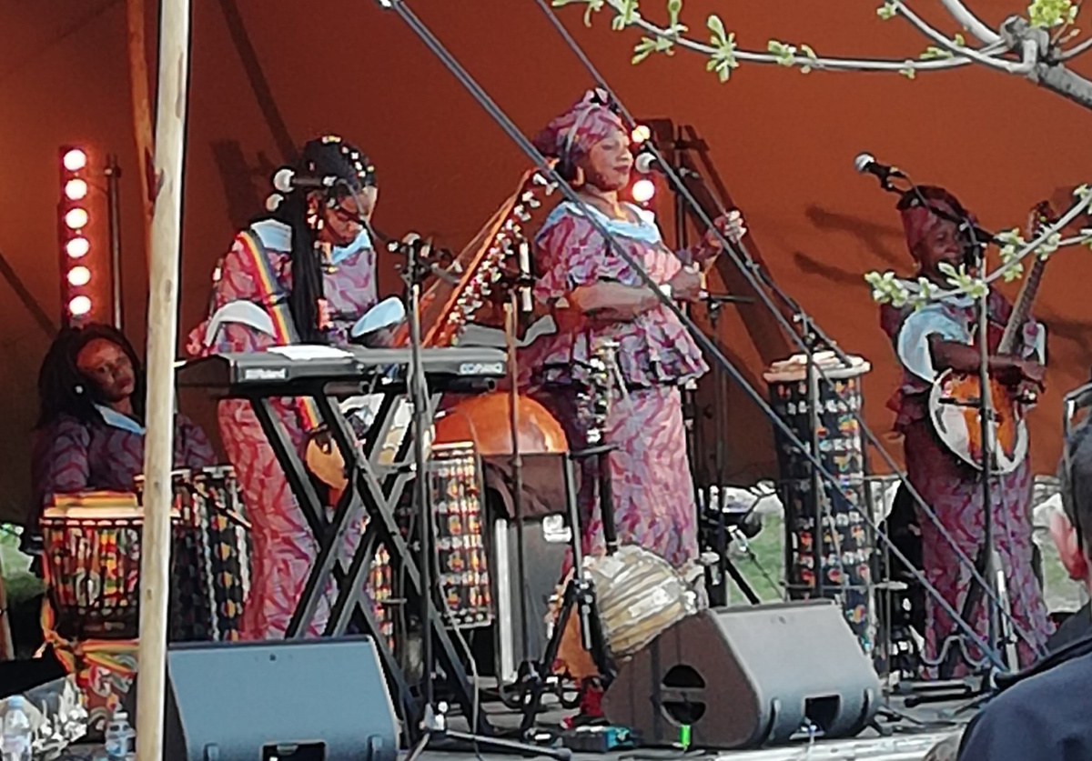 <strong>Femme musicienne au Mali: entre mythes et préjugés</strong>