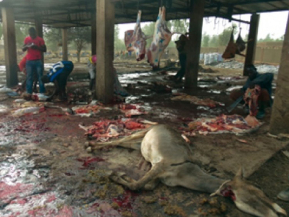 <strong>Arrestation de présumés vendeurs de viande d’âne à Kati</strong>