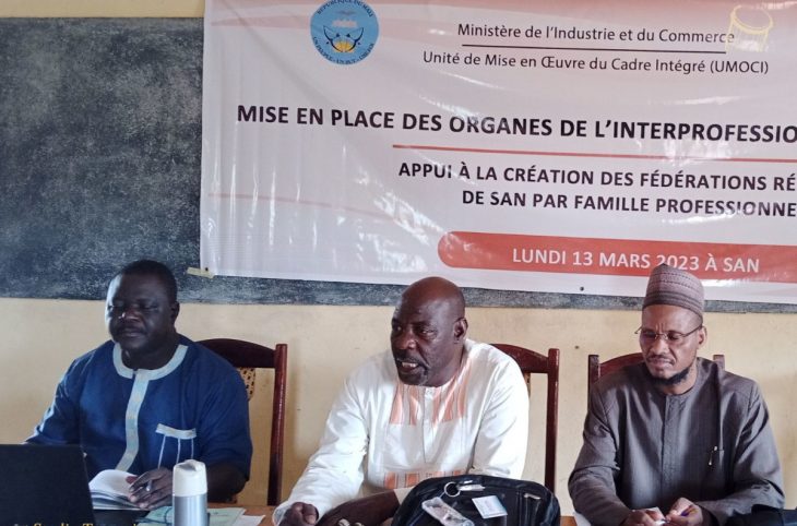 <strong>A San, la Fédération régionale des exploitants du karité a un nouveau bureau</strong>