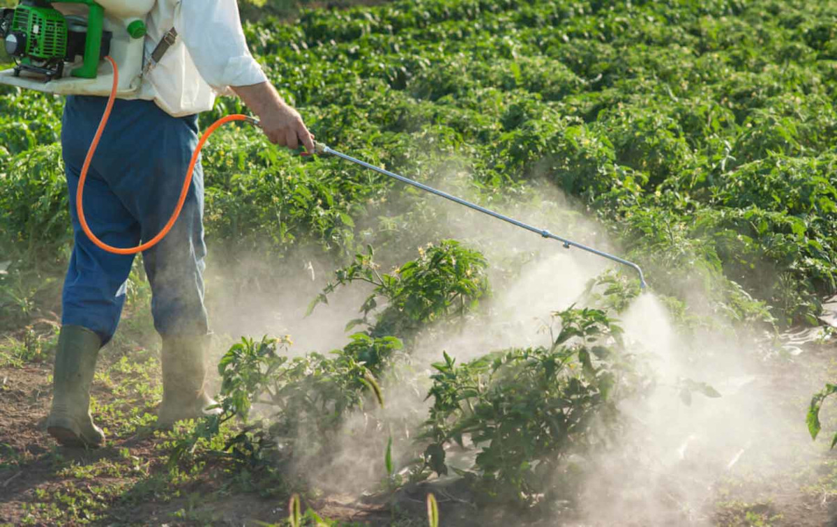 <strong>« Parlons de l’Environnement » : Pesticides, une menace utilisée contre d’autres menaces</strong>