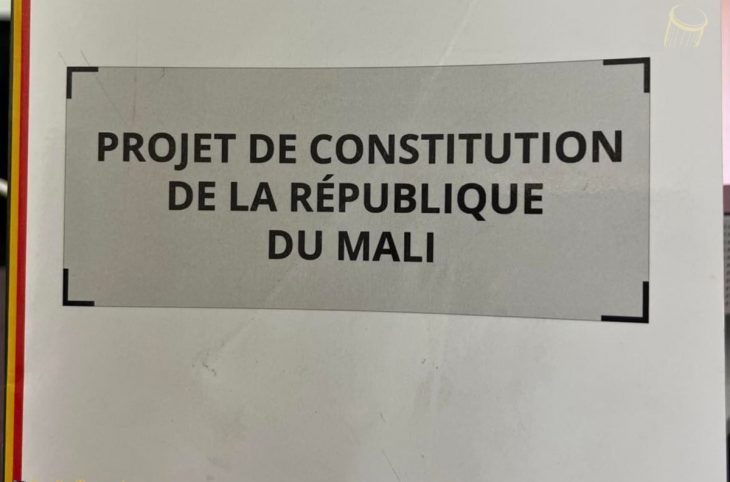 <strong>Projet de la nouvelle constitution, des femmes dénoncent la non-prise en compte de leurs avis</strong>