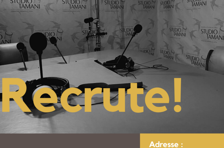 Studio Tamani recrute un.e Logisticien.ne