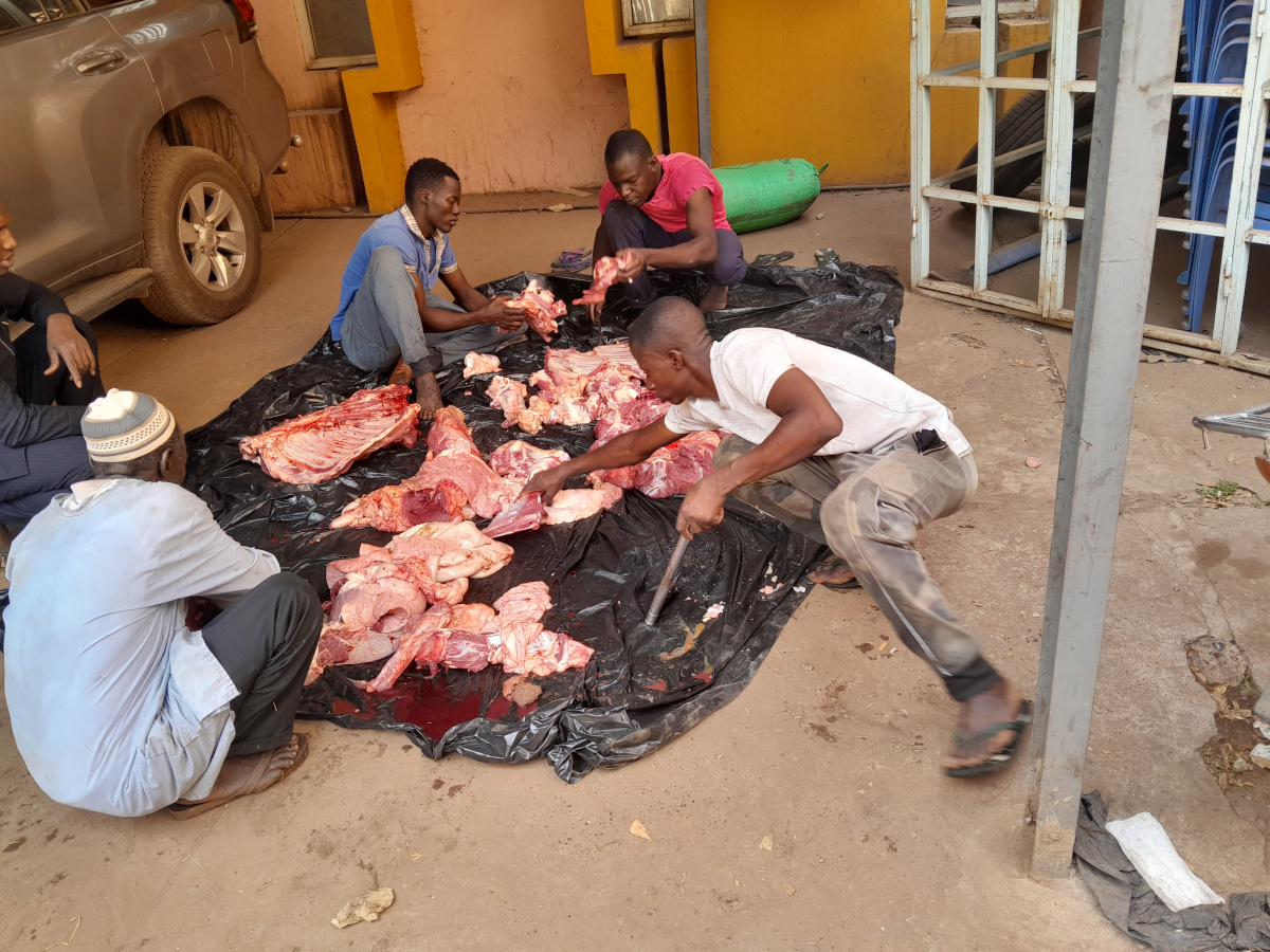 Aïd El Fitr : des jeunes bouchers profitent dans l’abattage des bœufs