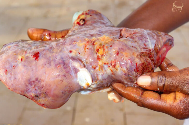 Une épidémie tue massivement le cheptel à Goundam