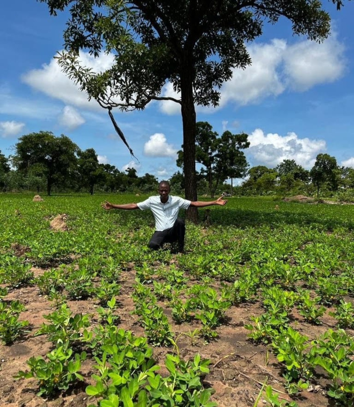 agriculture : un secteur de plus en plus investi par des jeunes diplômés sans emploi