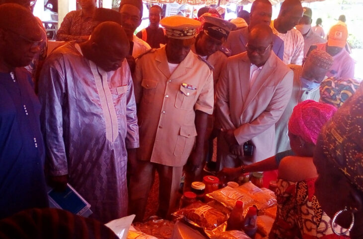 Koutiala : journées portes ouvertes du projet Feed the Future