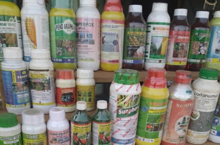 Foire aux intrants à San pour assurer une sécurité alimentaire