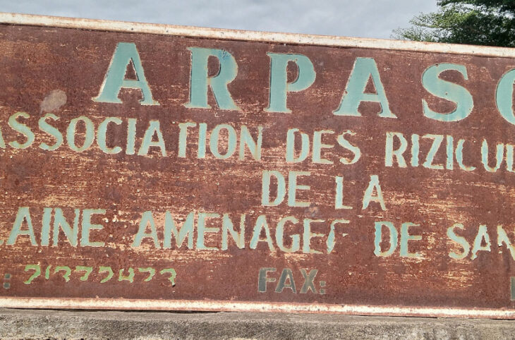 Des riziculteurs de San réclament de l’engrais