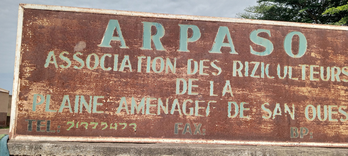 Des riziculteurs de San réclament de l’engrais