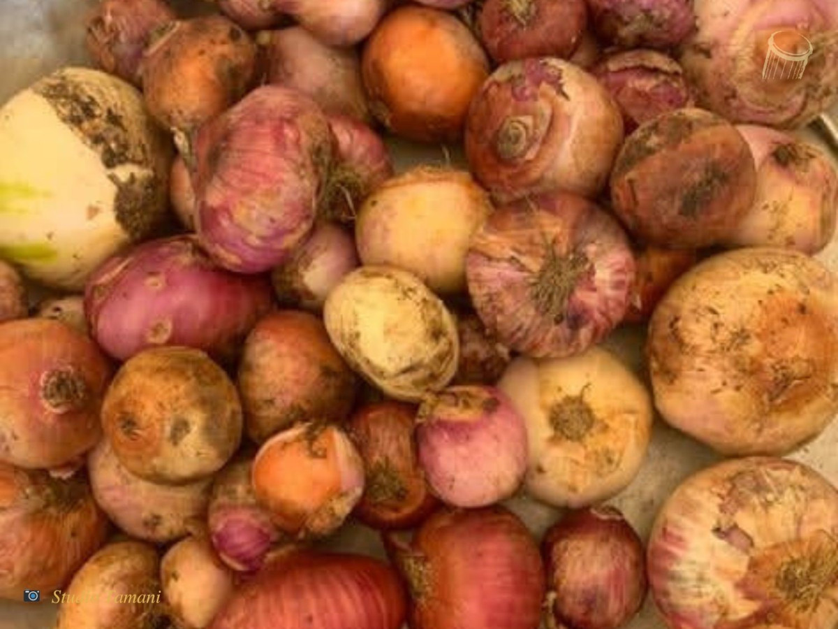 Le prix de l’oignon grimpe à Sikasso