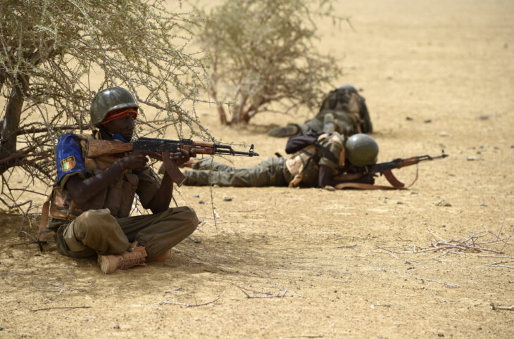 Nord et centre du Mali : l'insécurité persiste malgré les opérations militaires