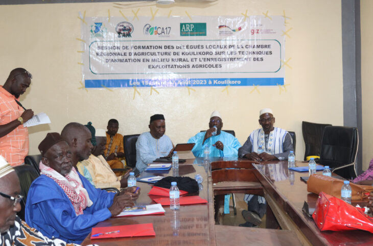 Koulikoro : les acteurs de l'agriculture outillés sur de techniques agricoles