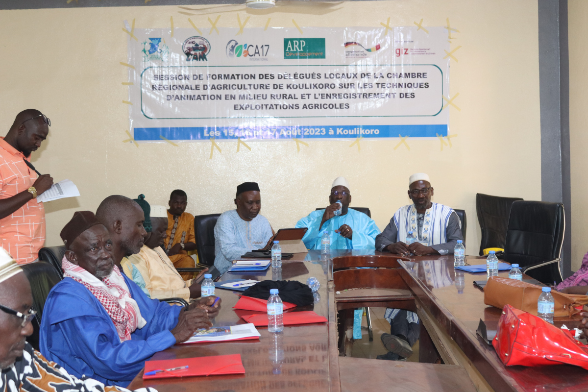 Koulikoro : les acteurs de l’agriculture outillés sur de techniques agricoles