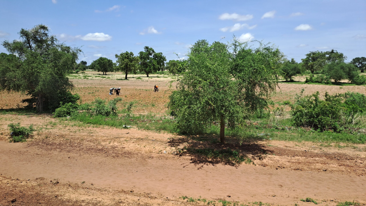 Recrudescence de l’insécurité : une menace sur la campagne agricole au Centre du Mali ?
