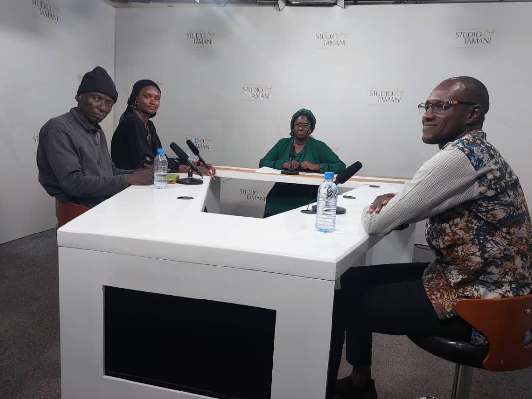 Que deviennent les plants après le reboisement ?