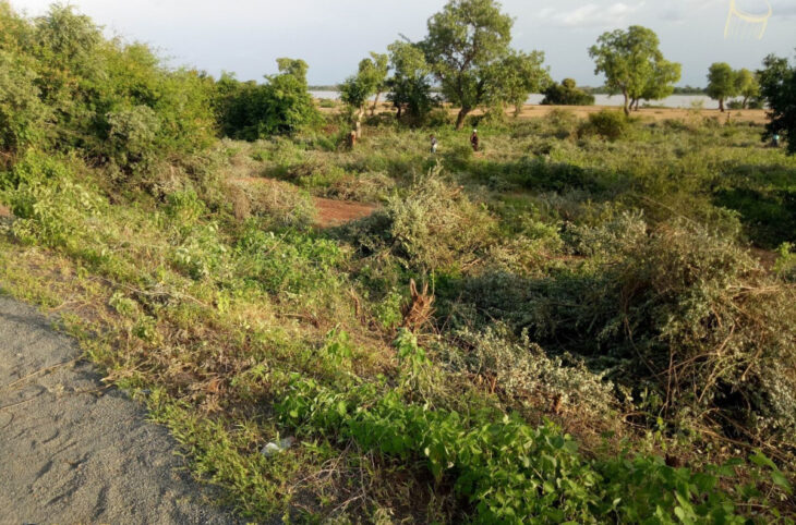 Bientôt un site pour des déplacés à Macina