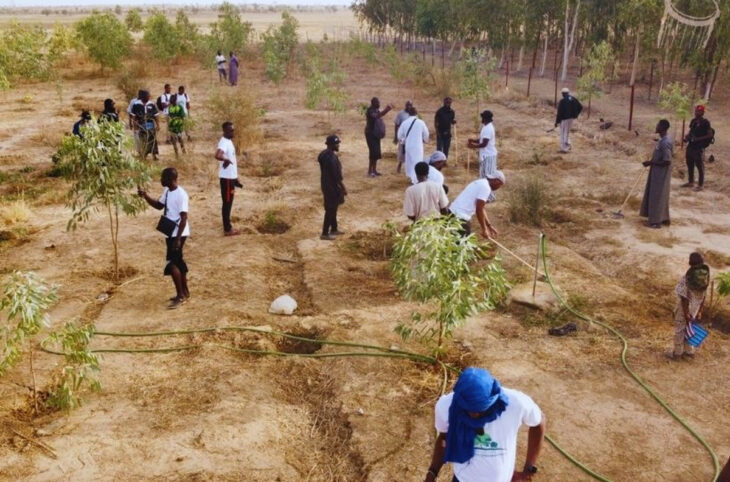 La fête annuelle de Koro placée sous le signe de la plantation d'arbres