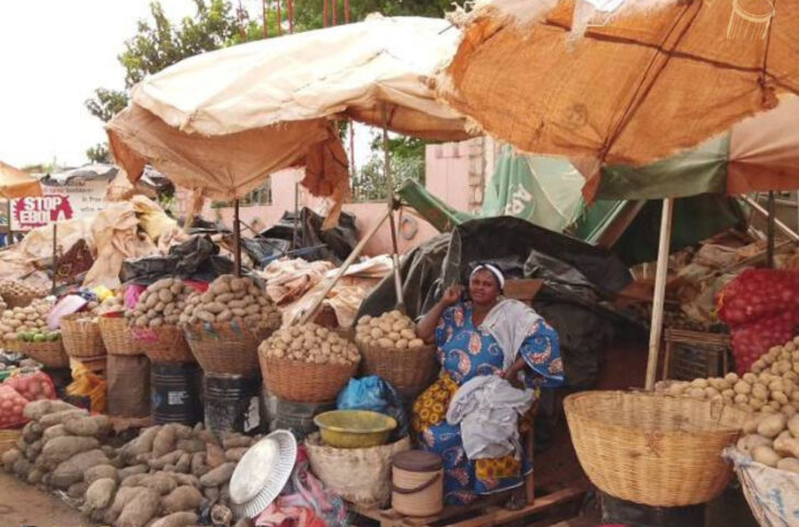 Le prix des tubercules en hausse à Koulikoro