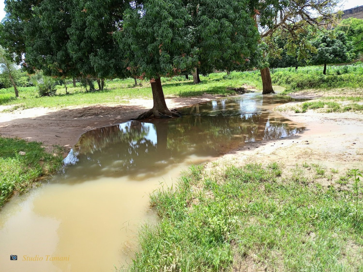 Bafoulabé : un berger a pris une balle dans un champ