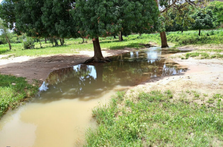 À Bankass, l'insécurité et le dérèglement climatique la campagne agricole