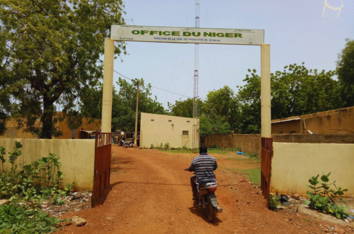 Flambée du prix du riz à Macina