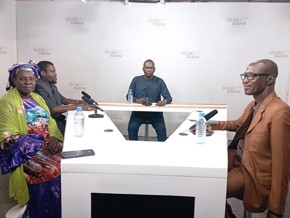 Personne handicapée au Mali, citoyen à part entière ou mis à part ? (Bambara)