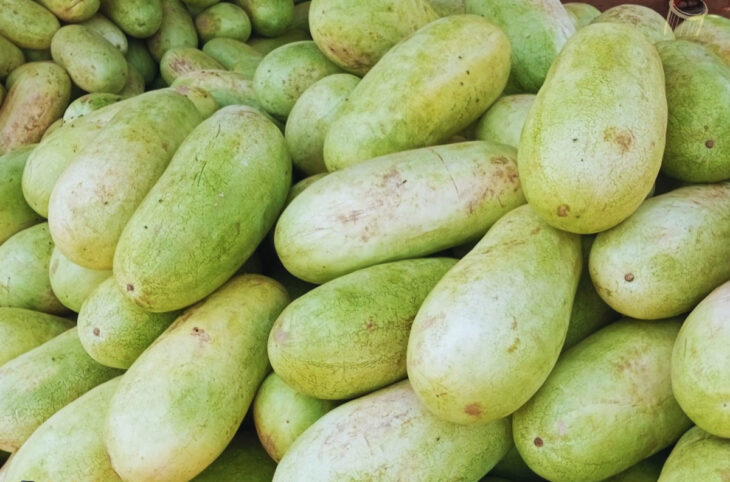 La pastèque abondante mais « peu abordable » à Bamako