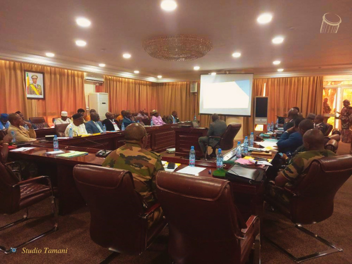 Réflexion sur les solutions au défi sécuritaire au Sahel