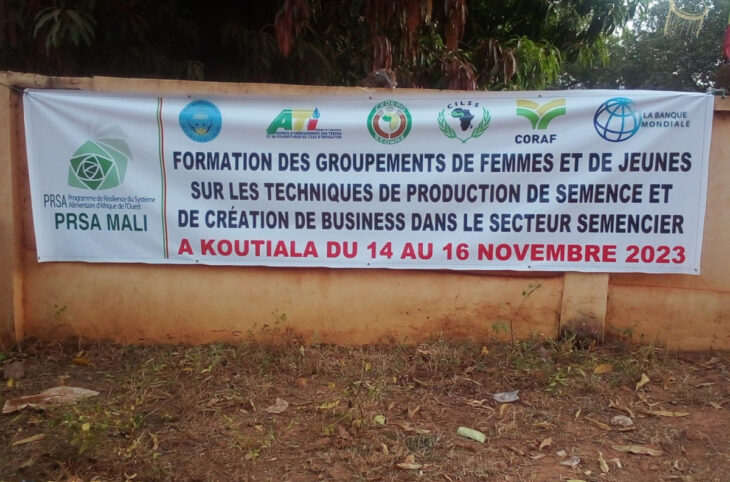 Formation à Koutiala sur la production de semence
