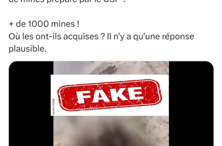 Infox, ce déminage ne s'est pas passé au Mali
