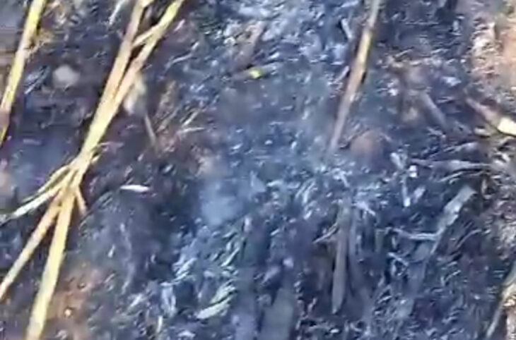 À Foutouba, les agriculteurs demandent des mesures contre les incendies dans les champs.